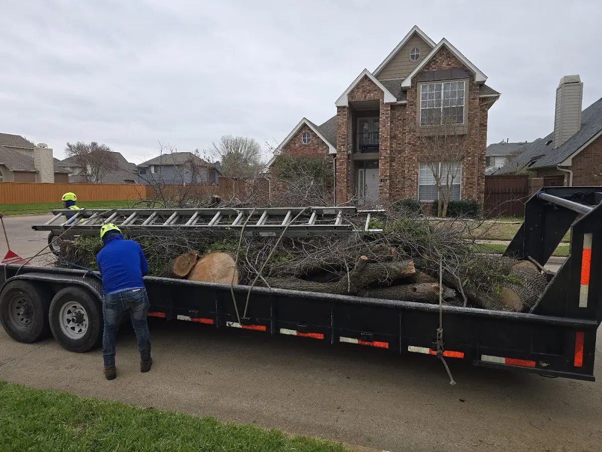 Expert Tree Pest Control with proper safety equipment in Baldwin